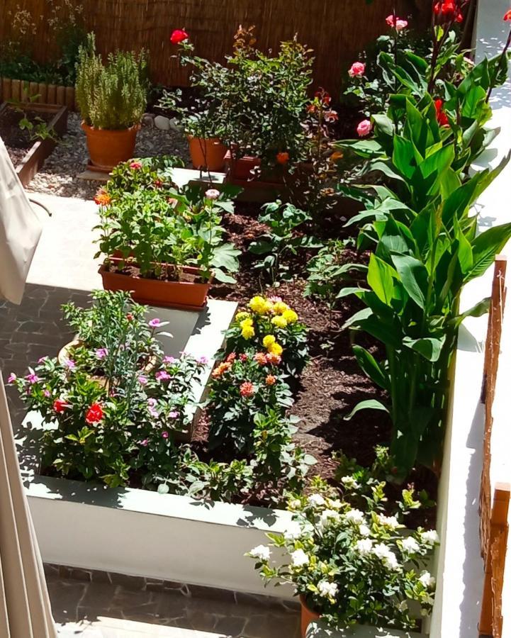 Charming Garden Apartment Rhodes City Номер фото